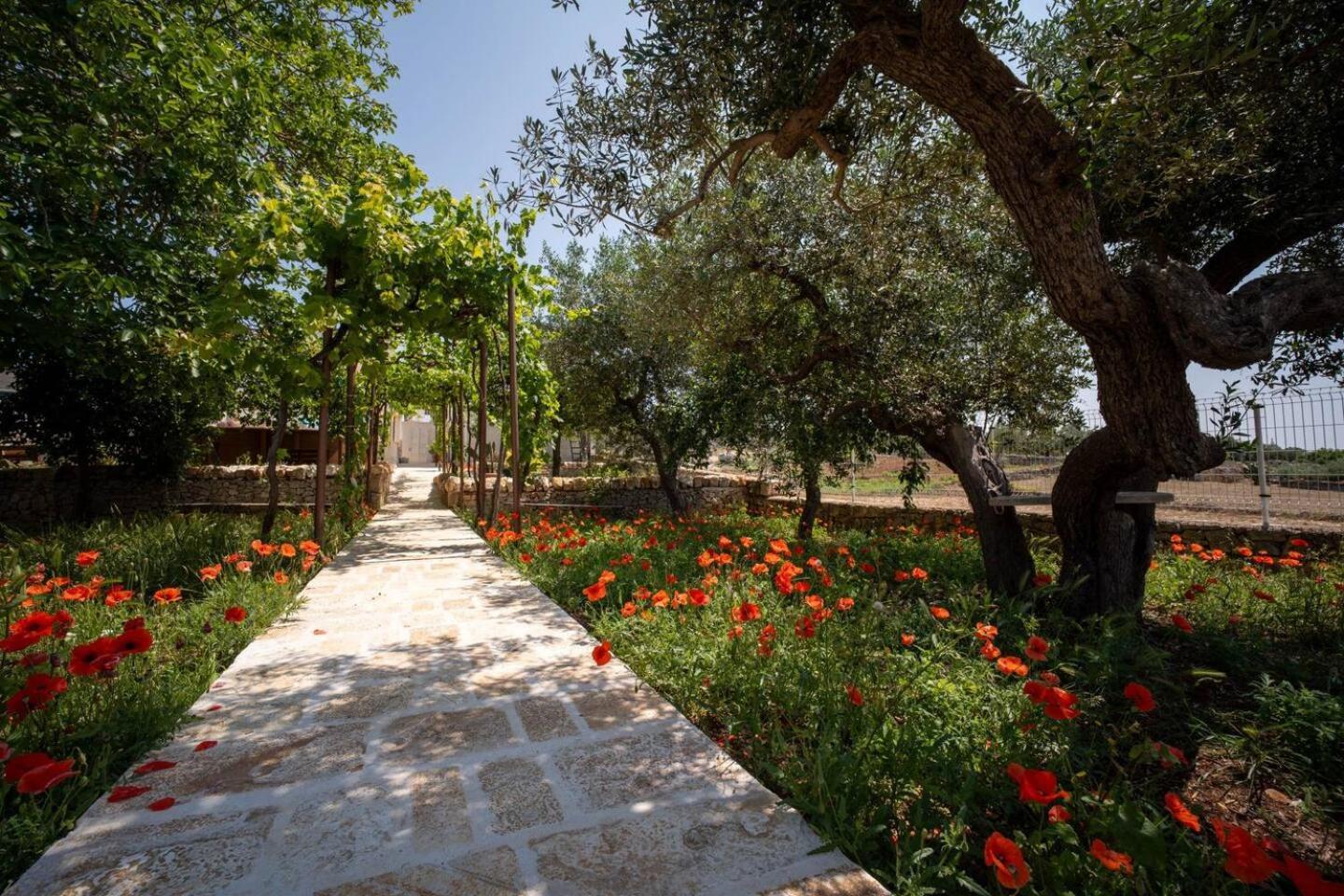 Valle D'Itria Trulli E Alcova Mikael Cisternino Exterior photo
